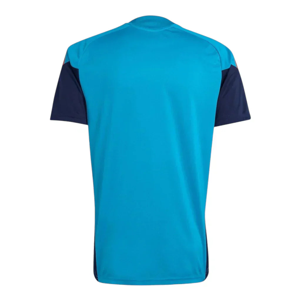 Spain Training 26/27 Jersey