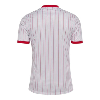 Denmark Away 26/27 Jersey